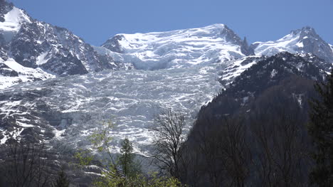 France-Glaciers-Les-Bossons-View-With-Spring-Tree