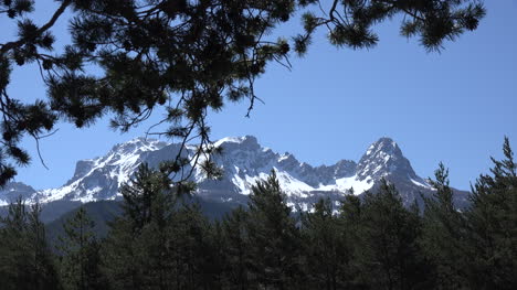 France-Pine-Branches-Above-A-Cirque-On-A-Mountain-Near-Barcelonnette