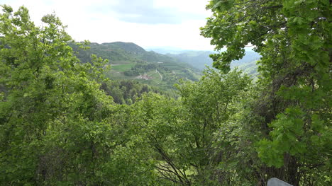 Italy-Piedmont-Hills-With-Forest-In-Wind-Zooms-In