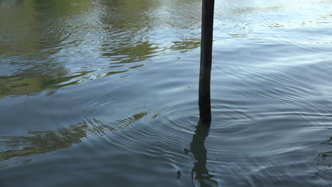 Ripples-In-Water-Around-A-Piling