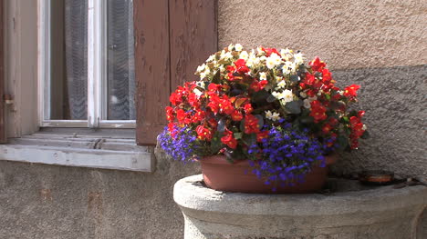 Suiza-Spulgen-Flores