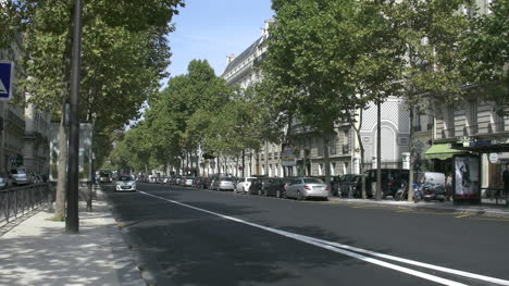Paris-tree-lined-avenue