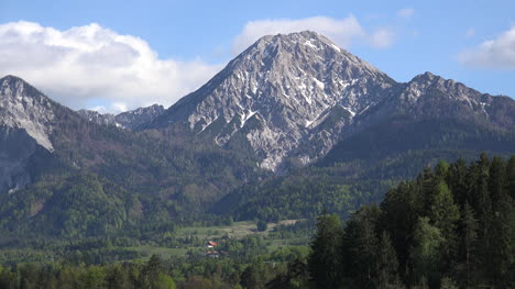 Austria-Montaña-Por-Encima-Del-Bosque