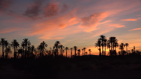 Kalifornien-Anza-Borrego-Sonnenaufgang-Himmel