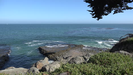 California-Cliff-view-at-Santa-Cruz