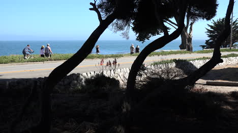 California-Santa-Cruz-people-stroll-along-coast