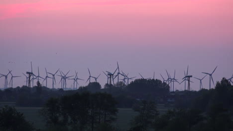 Gemany-birds-fly-over-wind-turbines-at-dawn