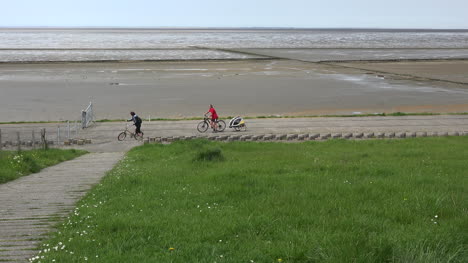 Germany-Wadden-Sea-low-tide-man-lets-dogs-out-of-bicycle-trailer