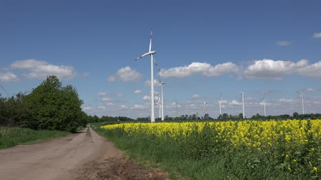 Germany-lane-past-rapeseed-field-and-wind-turbines
