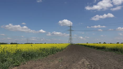 Germany-power-lines-with-rapeseed-field-zoom-in
