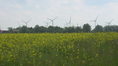 Deutschland-Rapsfeld-Und-Windkraftanlagen