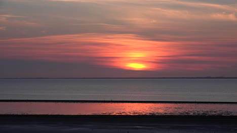 Germany-setting-sun-view-on-Wadden-Sea-with-birds