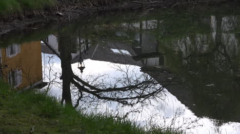 Germany-tree-and-lamp-reflected-in-pond