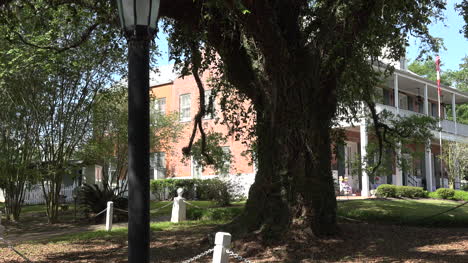 Louisiana-St-Martinville-historic-inn-and-oak