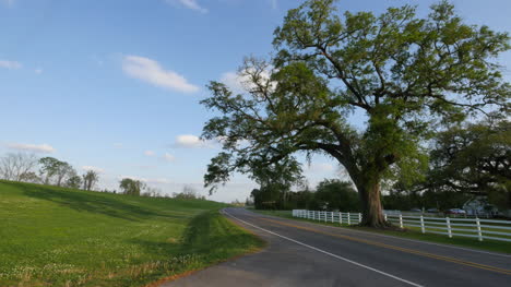 Louisiana-car-and-atv-by-levee