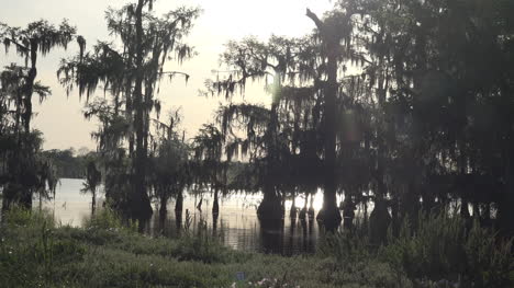 Louisiana-Zypressen-Und-Sonne-Auf-Dem-Wasser