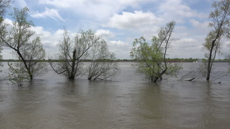 Louisiana-speeding-boat-on-Mississippi-River