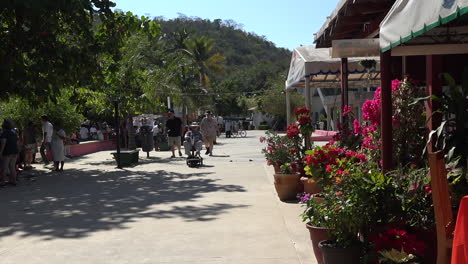 Mexiko-Huatulco-Mann-Auf-Roller-Café-Mit-Blumen