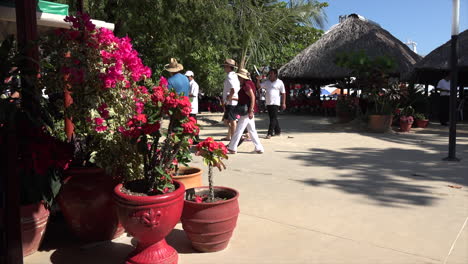Mexico-Huatulco-people-walk-by-flowers