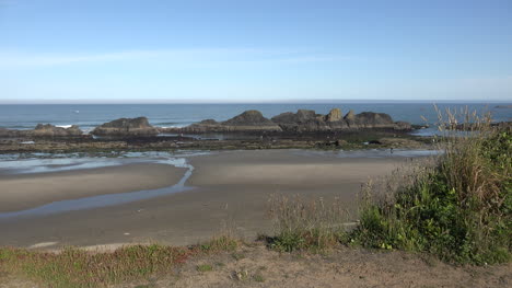 Oregon-Seal-Rocks-at-very-low-tide