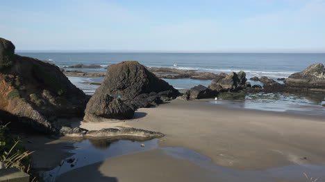 Oregon-Seal-Rocks-Ebbe-Ansicht-Zoomt-Hinein