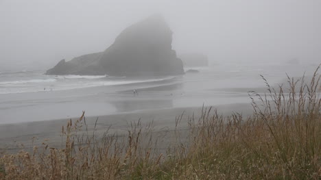 Oregon-waving-grass-and-sea-stack-in-fog