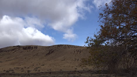 Oregon-clouds-over-a-hill-with-leaves