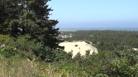 Oregon-dunes-surrounded-by-forest