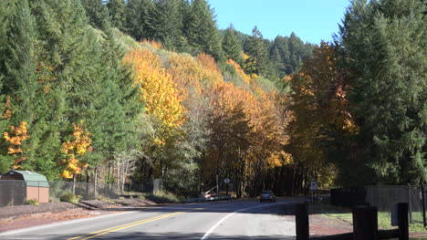 Oregon-highway-in-the-fall