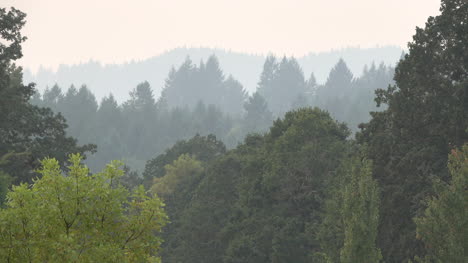 Oregon-hills-and-trees-on-a-smoky-evening