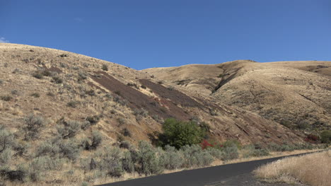 Oregon-red-leaves-amid-brown-hills