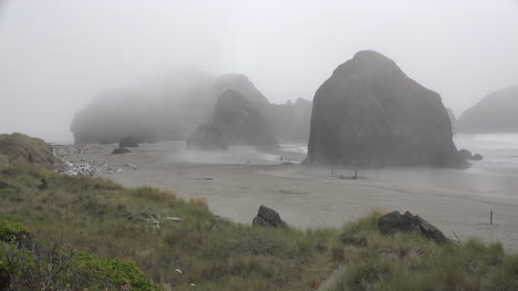 Oregon-sea-stacks-in-drifting-fog