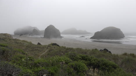 Oregon-view-of-fog-and-sea-stacks