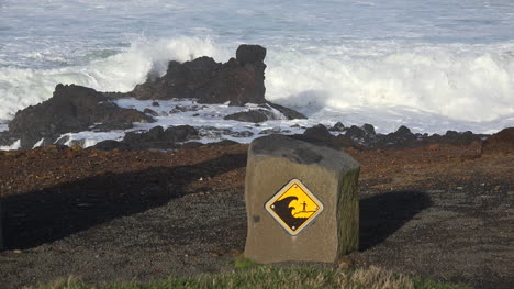 Oregon-warning-sign-and-waves