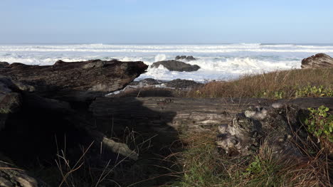 Oregon-waves-beyond-log-on-shore