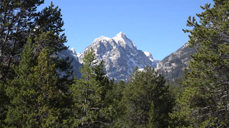 Wyoming-mountain-peak-beyond-trees