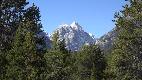 Wyoming-peak-in-the-Tetons-beyond-trees-zoom-out