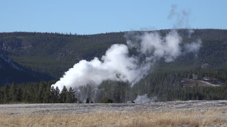 Yellowstone-Dampf-Aus-Einem-Geysir-Gegen-Wald