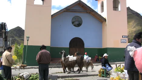 Ecuador-market-and-llamas