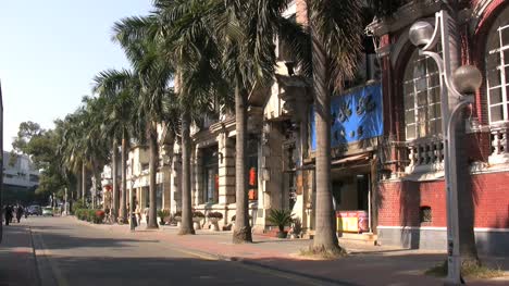Guangzhou-palms
