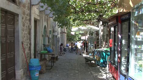 Chios-Reben-Bedeckte-Straße-In-Mesta