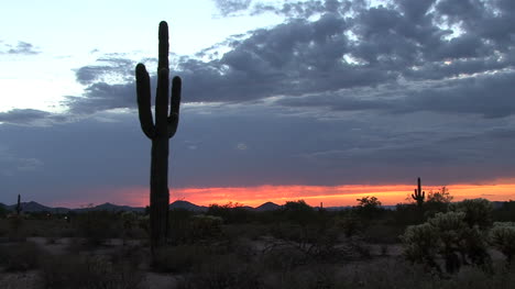 Atardecer-En-El-Desierto-De-Arizona-Con-Saguaro