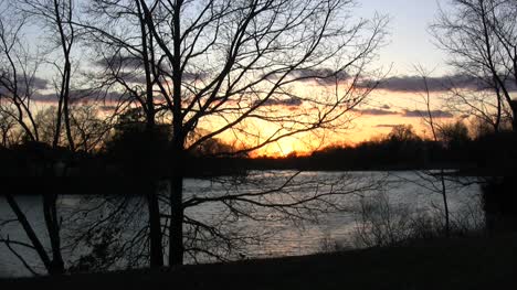 Delaware-sunset-with-barren-tree