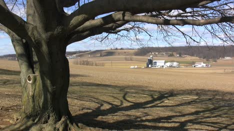 Lancaster-Counry-tree-and-farms