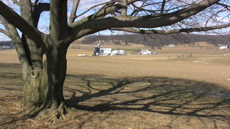 Tree-shadow-and-a-Lancaster-farmstead