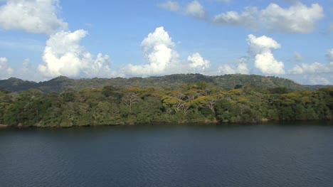 Panama-Canal-Rainforest-on-shore-of-Lake-Gatun