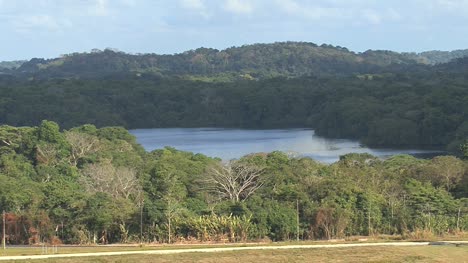 Selva-Tropical-A-Lo-Largo-Del-Canal-De-Panamá