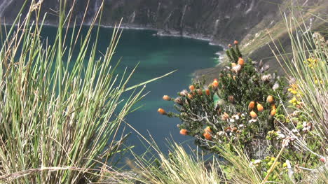 Ecuador-crater-lake-vegetation