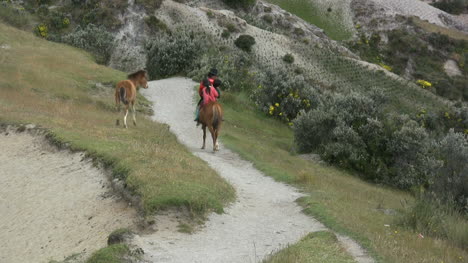 Ecuador-Pferdefohlen-Und-Pfad-Am-Kratersee