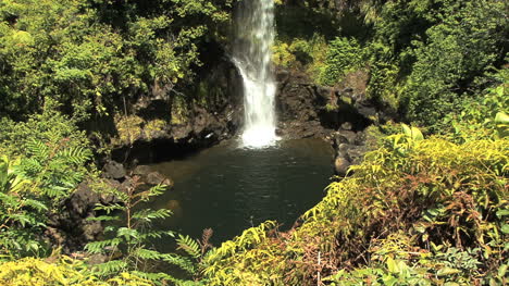Hawaii-Kamaee-Falls-and-pool